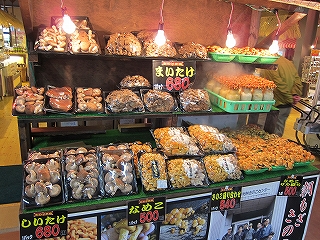 きのこ王国内部.jpg