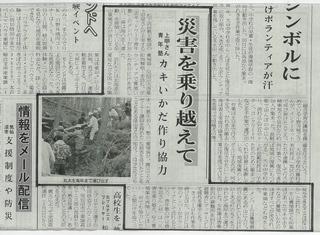 新聞記事.jpg