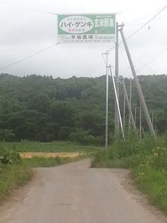 早坂農園看板.jpg
