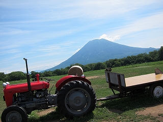 羊蹄山3.jpg