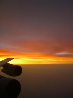 ANA夕焼け のコピー.jpg
