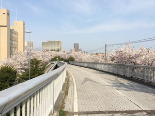 150502_01.jpg