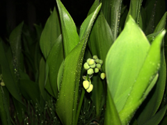 150514_02.jpg