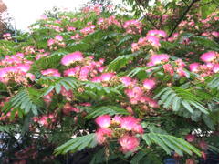 150817_03.jpg