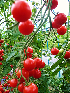 150829_1.jpg