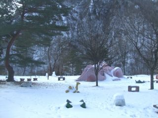 20090101_臼井家神庭家足尾・日光旅行２日目0006 のコピー.jpg
