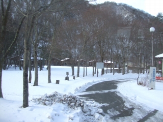 20090101_臼井家神庭家足尾・日光旅行２日目0007 のコピー.jpg