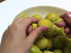 20150605_01.JPG