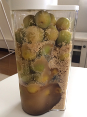 20150605_03.JPG