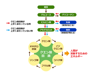 20160730_01.jpg