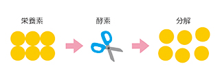 20171002-02.jpg