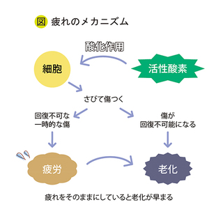 20180417-02.jpg