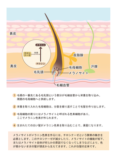 20180515-01.jpg