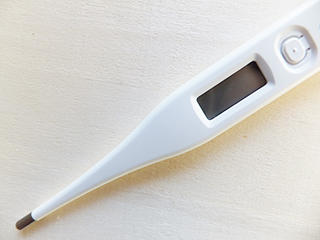 20190201-05.jpg