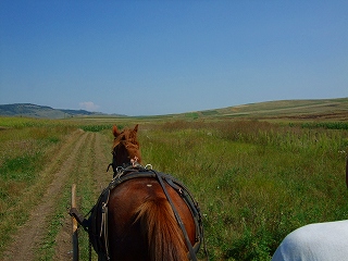 DSCF0102.jpg