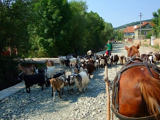 DSCF0105.jpg