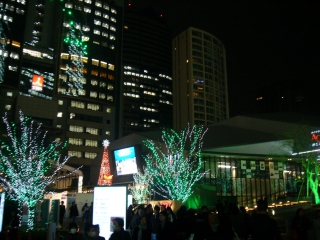 P1060543.jpg