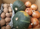 SeasonalVegetableSet.jpg