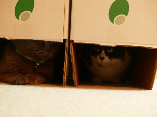 冷戦