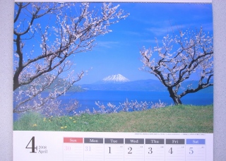 宇都宮からサクランボの花便り