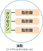 米国で使用禁止になる