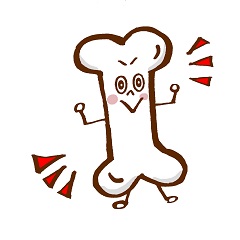 骨の健康に積極的に取りたい栄養素