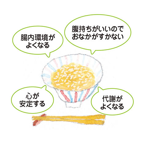 玄米で体重が減るメカニズム★「チビコト」紹介シリーズ第4弾