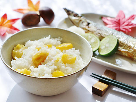 食欲の秋、つい食べ過ぎてしまう方の食事法