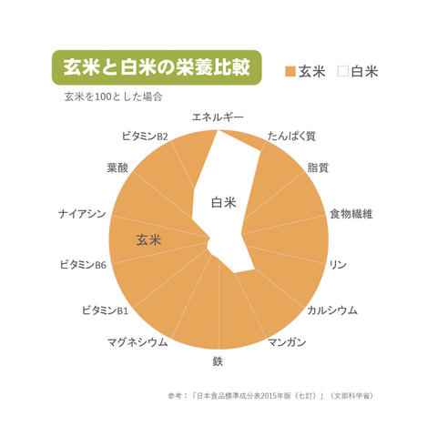 20181017-01.jpg